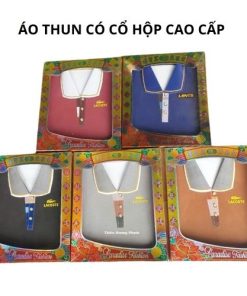 Ao thun cố đứng hộp