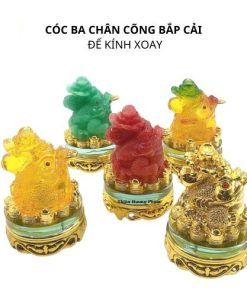 Cóc cõng bắp cải đế kinh xoay