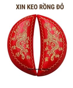 Xin keo rồng cao cấp