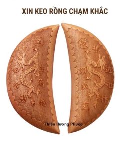 Xin keo rồng cao cấp