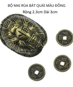 Bộ mai rùa kinh dịch